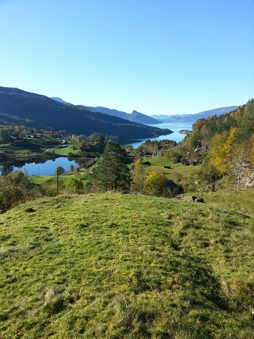 zobacz camping - zdjęcie 20