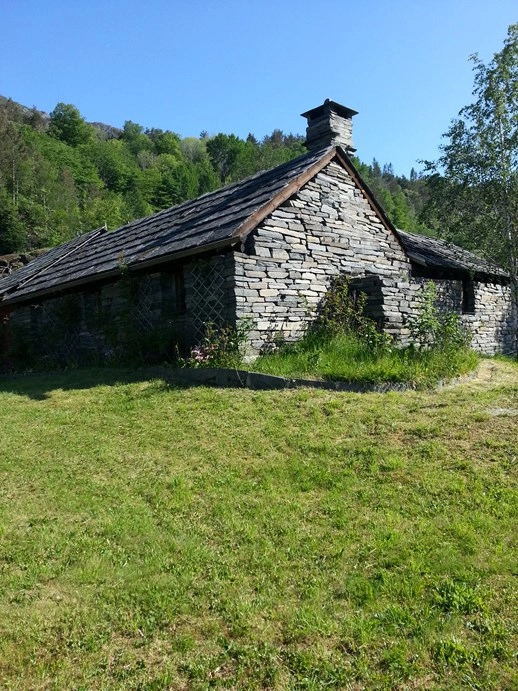 zobacz camping - zdjęcie 19