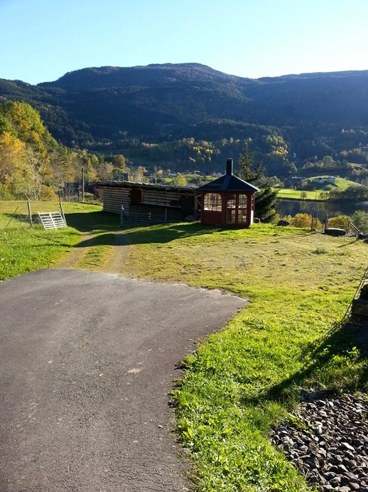 zobacz camping - zdjęcie 14