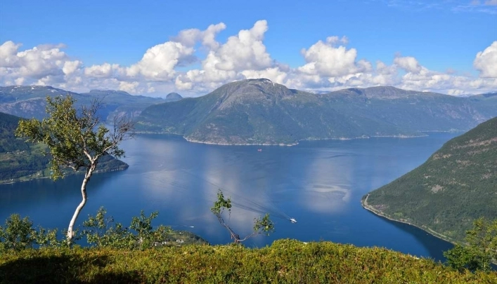 zobacz camping - zdjęcie 11