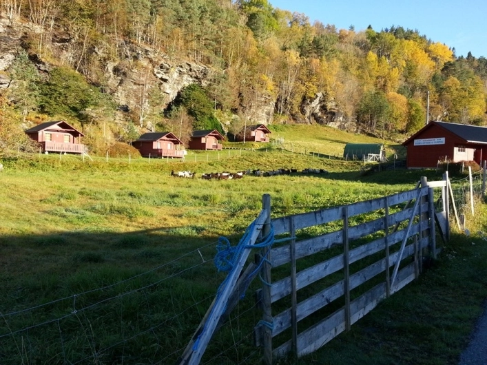 zobacz camping - zdjęcie 6