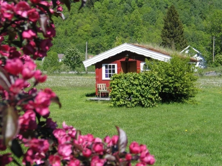 zobacz camping - zdjęcie 15