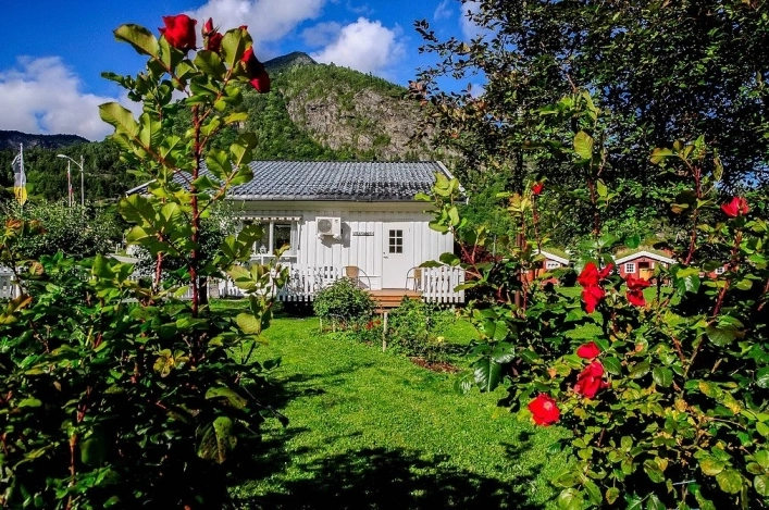 zobacz camping - zdjęcie 9