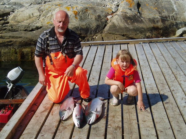 zobacz camping - zdjęcie 12