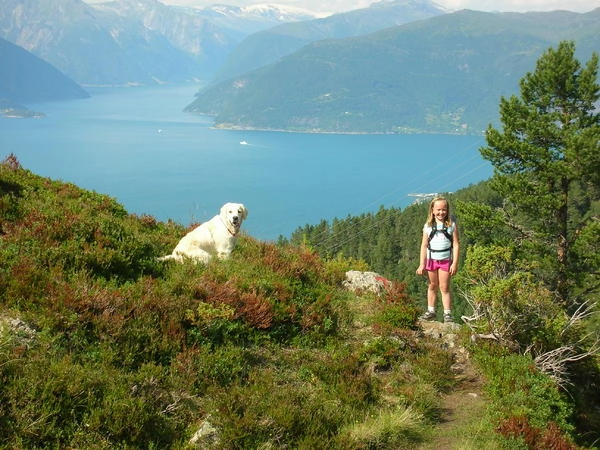 zobacz camping - zdjęcie 9