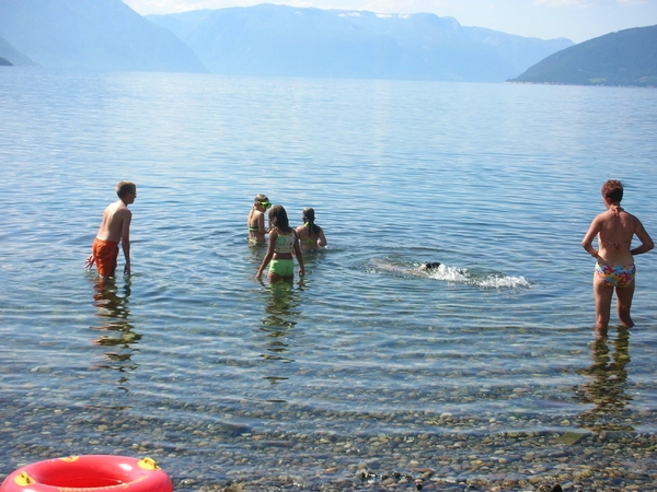 Djuvik Camping - zdjęcie 3