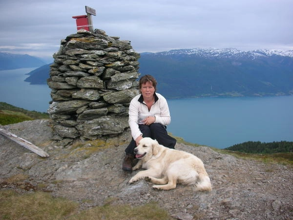 zobacz camping - zdjęcie 2