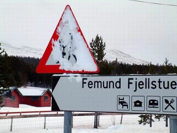 zobacz camping - zdjęcie 29