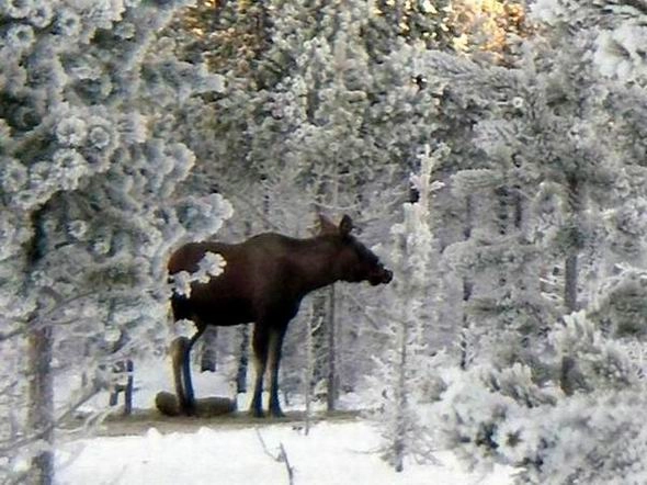 zobacz camping - zdjęcie 28