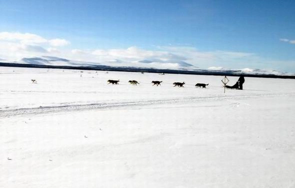 zobacz camping - zdjęcie 26