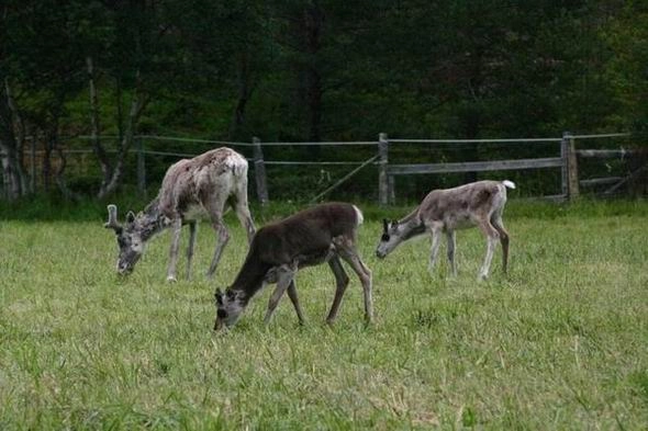 zobacz camping - zdjęcie 18
