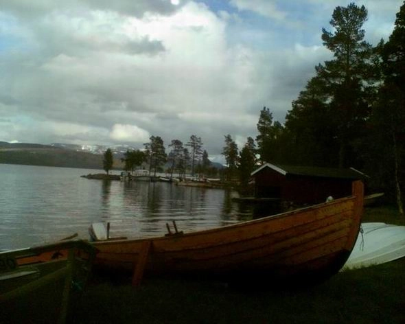 zobacz camping - zdjęcie 16