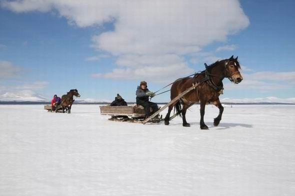 zobacz camping - zdjęcie 15
