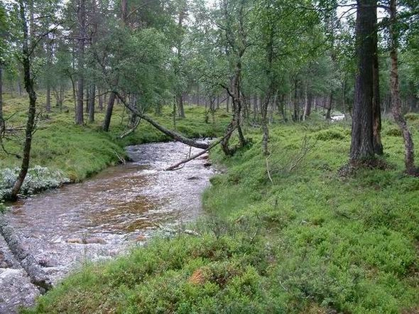 zobacz camping - zdjęcie 12