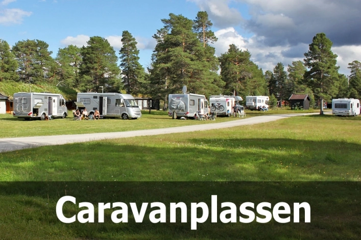 zobacz camping - zdjęcie 11