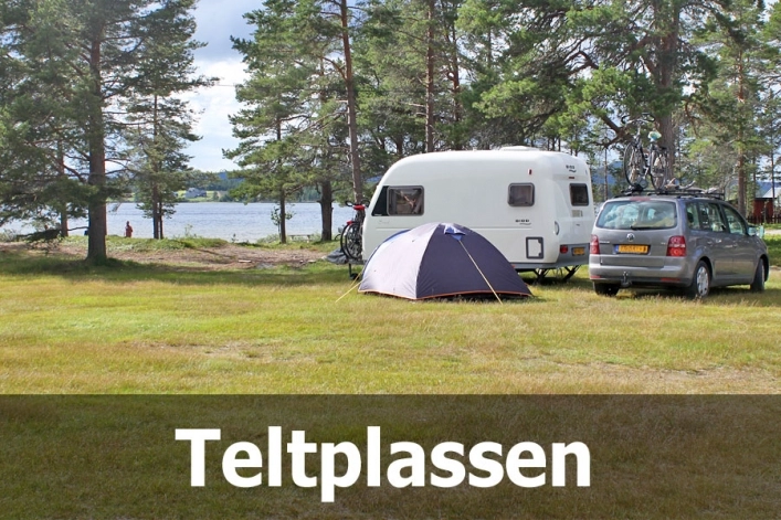 zobacz camping - zdjęcie 6