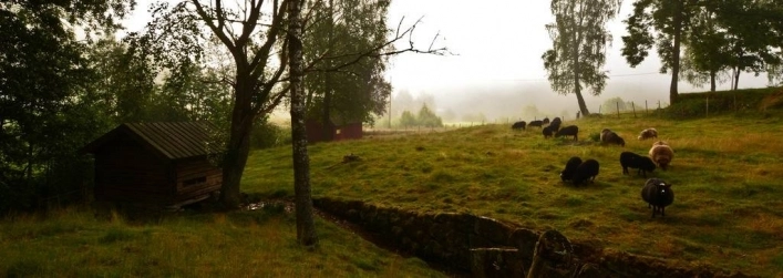 zobacz camping - zdjęcie 17