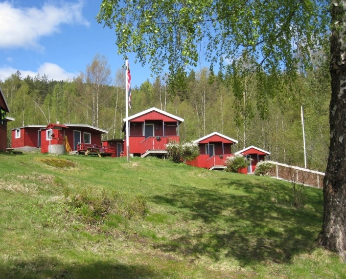 zobacz camping - zdjęcie 16