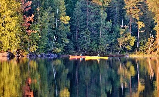 Finnskogen Turist -og Villmarksenter - zdjęcie 3