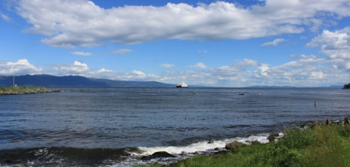 zobacz camping - zdjęcie 15