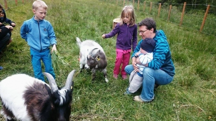 zobacz camping - zdjęcie 31