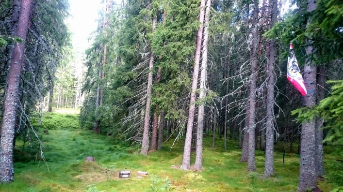 zobacz camping - zdjęcie 4