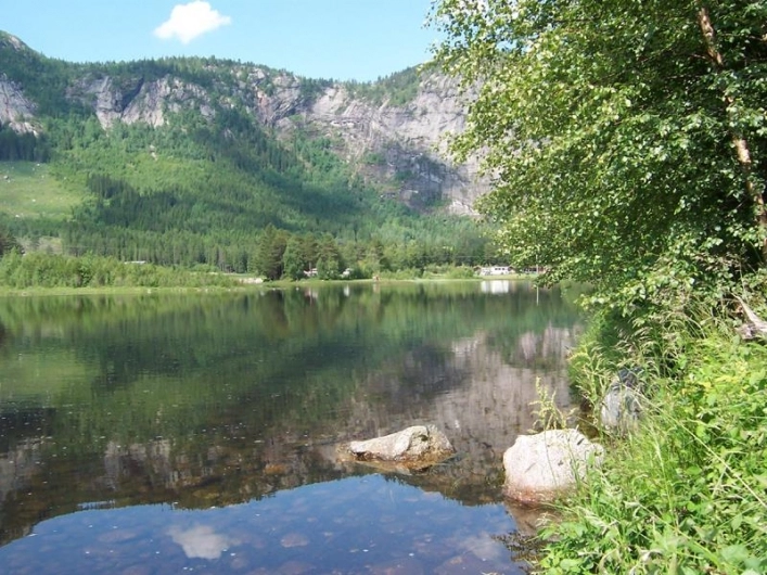 zobacz camping - zdjęcie 1