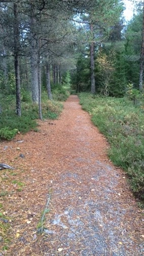 zobacz camping - zdjęcie 10