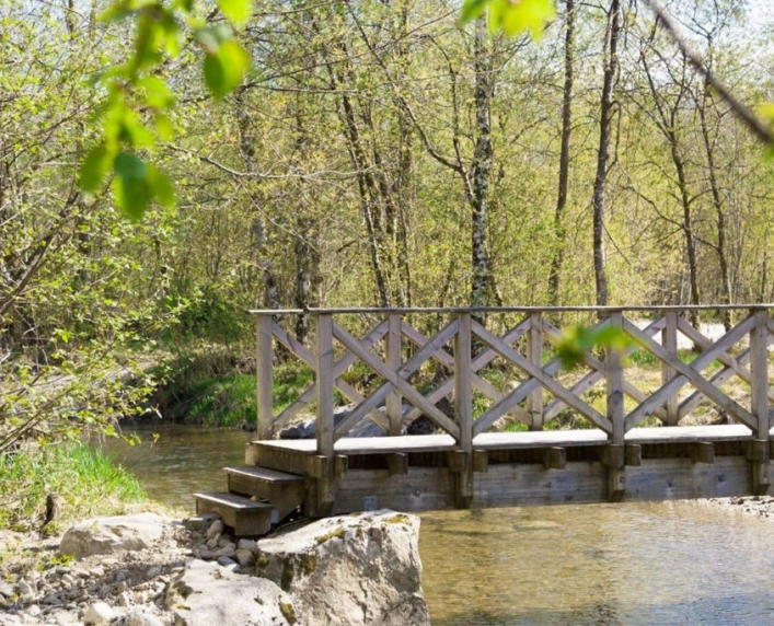 zobacz camping - zdjęcie 13