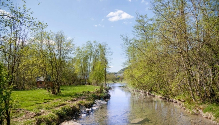 zobacz camping - zdjęcie 8