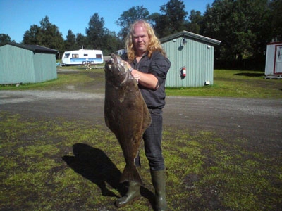 zobacz camping - zdjęcie 17