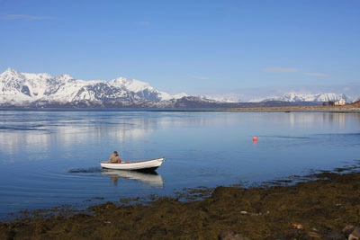 zobacz camping - zdjęcie 16