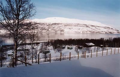 zobacz camping - zdjęcie 10