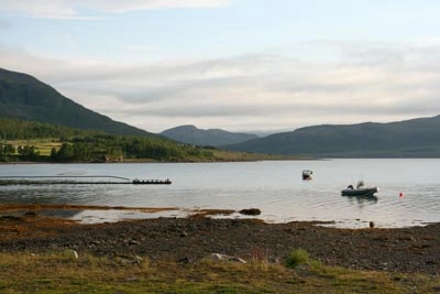 zobacz camping - zdjęcie 7