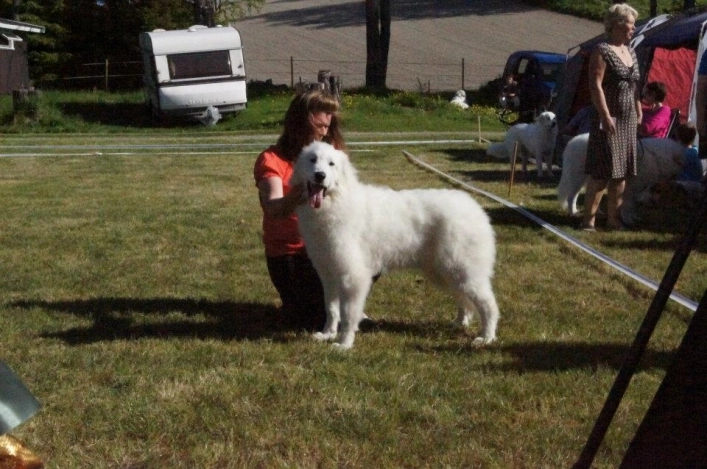 zobacz camping - zdjęcie 16