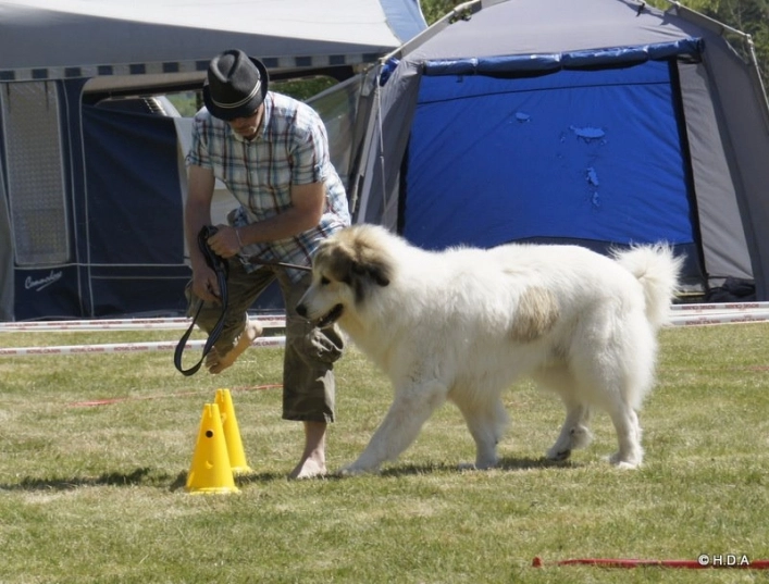 zobacz camping - zdjęcie 8