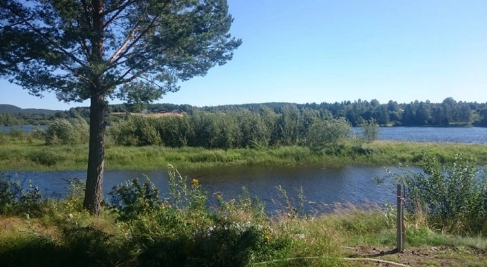 zobacz camping - zdjęcie 5