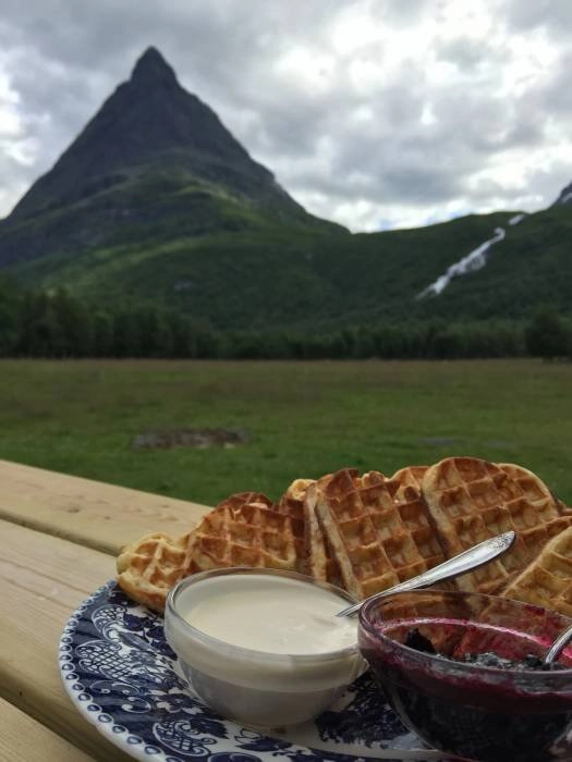 zobacz camping - zdjęcie 12