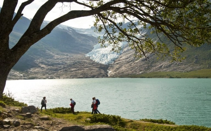 zobacz camping - zdjęcie 21