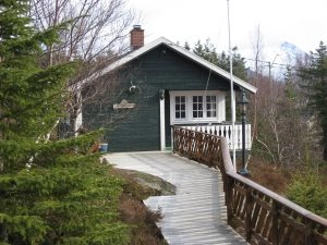 Furøy Camping - zdjęcie 1