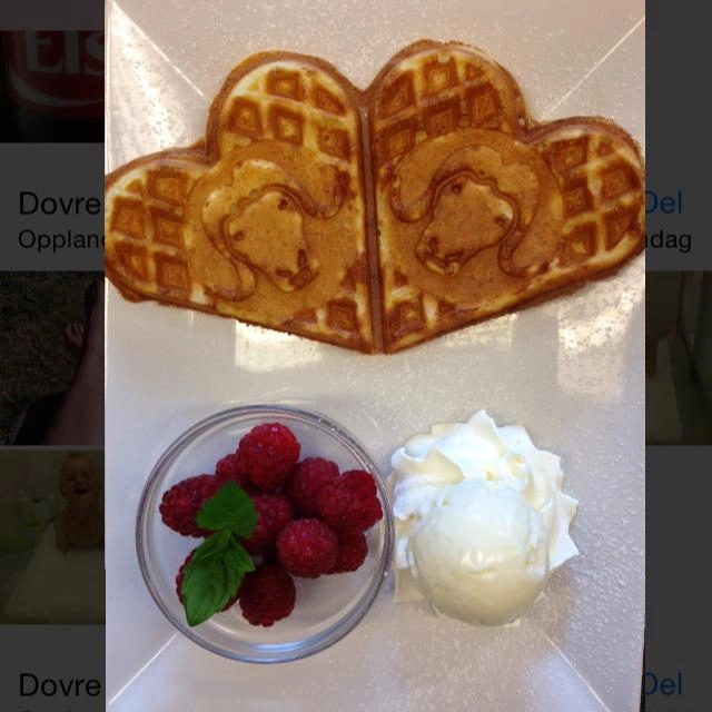 zobacz camping - zdjęcie 18