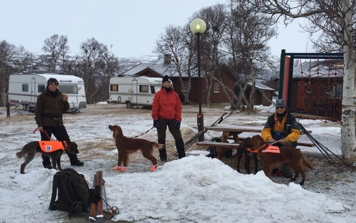 zobacz camping - zdjęcie 16