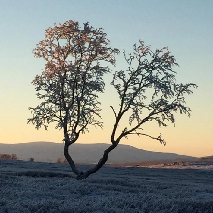 zobacz camping - zdjęcie 10