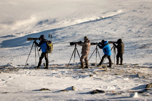 zobacz camping - zdjęcie 4