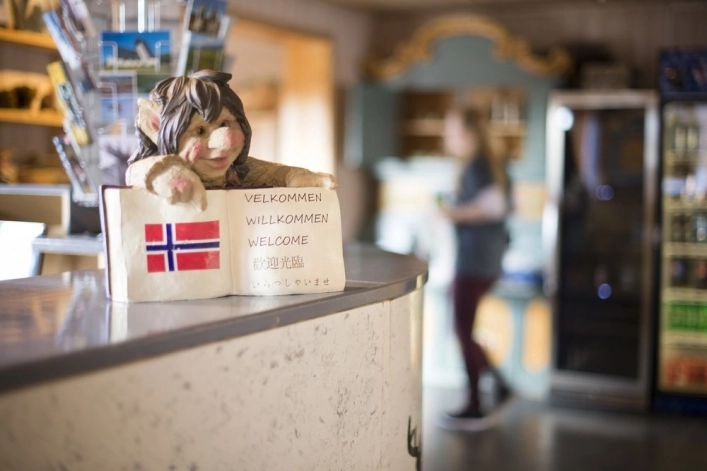 Furuhaugli Turisthytter - zdjęcie 1