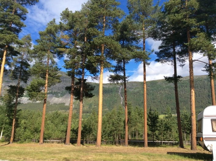 zobacz camping - zdjęcie 8