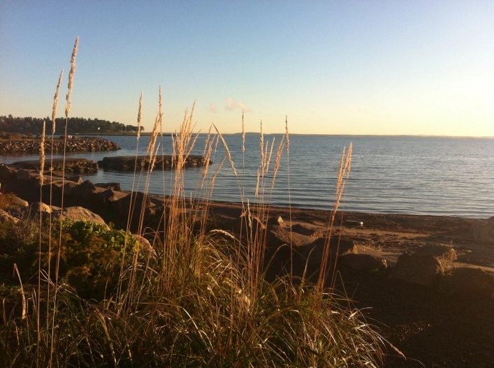 zobacz camping - zdjęcie 22