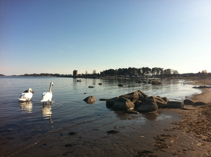 zobacz camping - zdjęcie 17