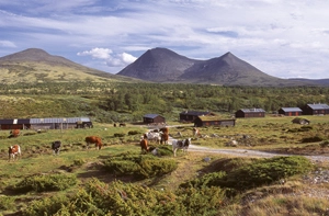 Gjelten Bru Camping - zdjęcie 4