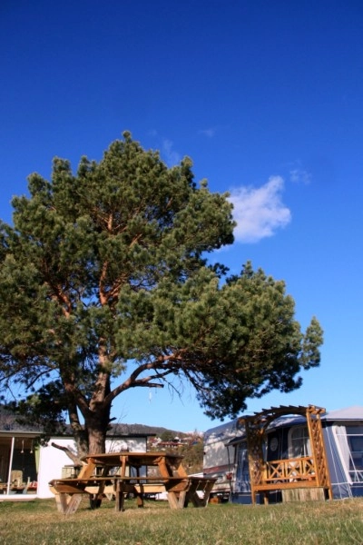 zobacz camping - zdjęcie 32